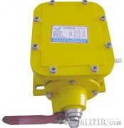 THZL-B-II縱向撕裂開(kāi)關(guān)，撕裂檢測(cè)裝置，批發(fā)工程案例